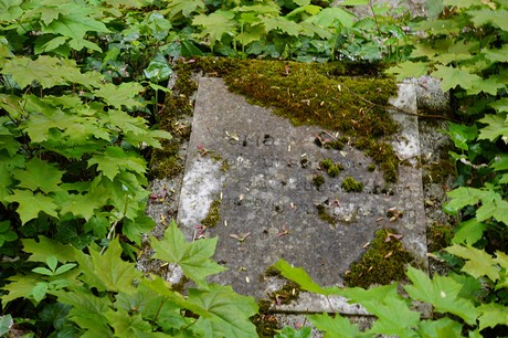 Bad Godesberg